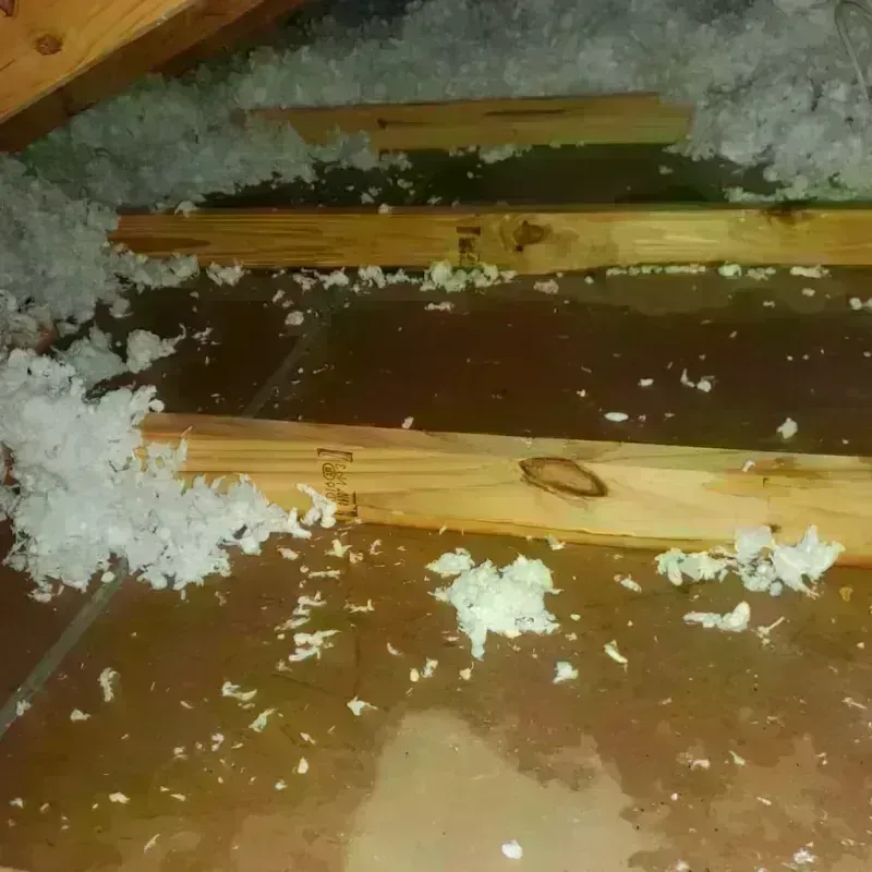 Attic Water Damage in Breckenridge, MN